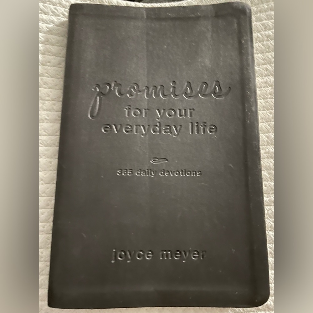 Promises For Your Everyday Life: 365 Daily Devotions by Joyce Meyer